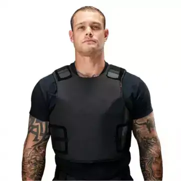 COVERT CONCEALABLE BODY ARMOR AND CARRIER